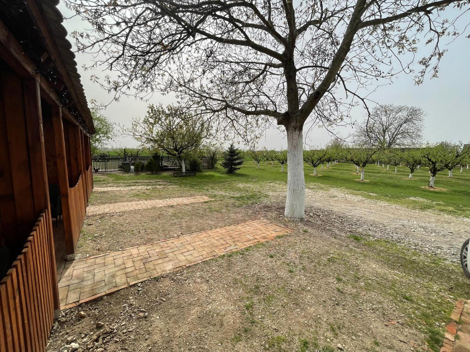Salas Isailovi Szávaszentdemeter Kültér fotó